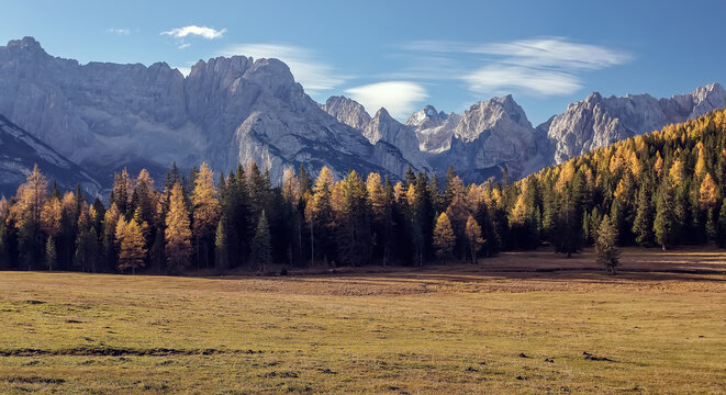 Incredible autumn scenery at Alpine valley in Italian Dolomite Alps. Yellow and orange larches forest and rocky mountains peaks on background. Dolomites, Italy. Picture of wild area