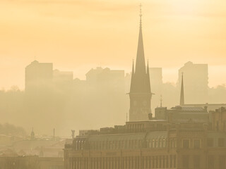 The foggy morning sky reveals Gothenburgs skyline of sprawling cityscape, its built structures and grand church towers emerging from the haze.
