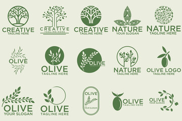 olive branch logo design with green logo