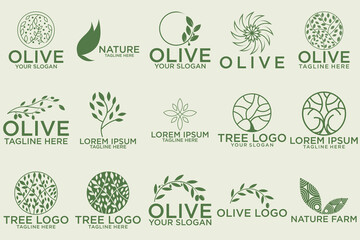olive branch logo design with green logo