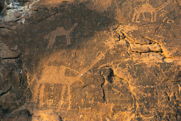 Prehistoric camel rock carvings at Jubbah, a Unesco World Heritage Site in Saudi Arabia