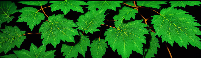 Illustration of a vibrant green leaf with intricate details and textures created with Generative AI technology