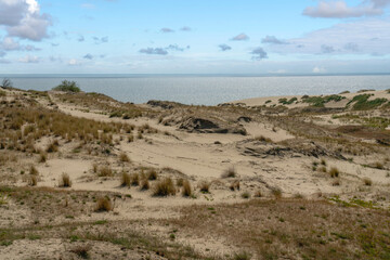 View of Staroderevenskaya dune from the height of Efa (Walnut Dune) and the Baltic Sea in the background on a sunny summer day, Curonian Spit, Kaliningrad region, Russia