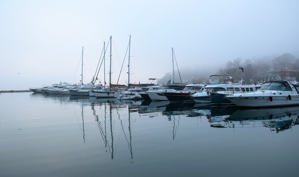 Tarabya marina in the Bosphorus, foggy