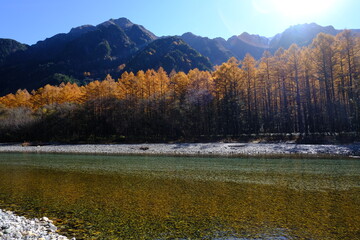 梓川の川面と黄葉したカラマツ林、秋の上高地