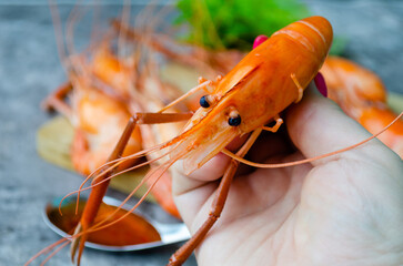 Large boiled king shrimp in a woman's hand