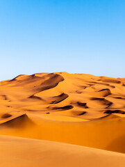 Fototapeta na wymiar Stunning sand dunes near Merzouga, Morocco during sunset - Portrait shot 2
