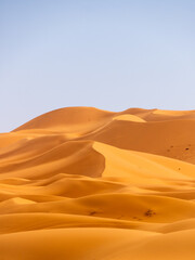 Sand dunes near Merzouga, Morocco on a warm and sunny afternoon