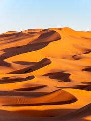 Fototapeta na wymiar Stunning sand dunes near Merzouga, Morocco during sunset - Portrait shot 1