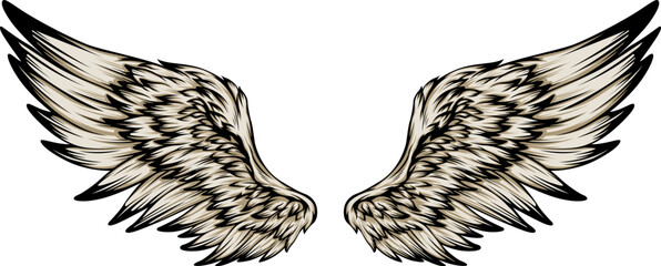 Bird wings illustration tattoo style. Hand drawn design element.