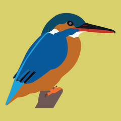 A beautiful kingfisher bird is sitting. This is vector art work.  