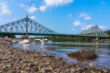 Blue wonderr is the unofficial name of the Loschwitz Elbe Bridge in Dresden