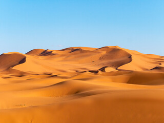 Fototapeta na wymiar Stunning sand dunes near Merzouga, Morocco during sunset - Landscape shot 10