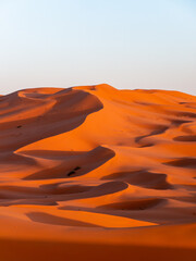 Fototapeta na wymiar Stunning sand dunes near Merzouga, Morocco during sunset - Portrait shot 5