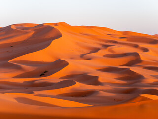 Fototapeta na wymiar Stunning sand dunes near Merzouga, Morocco during sunset - Landscape shot 9
