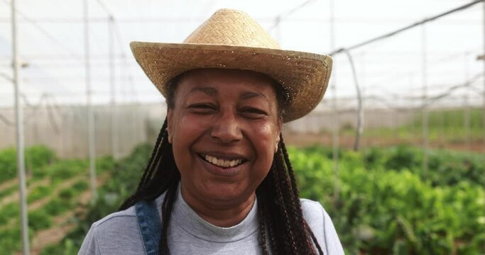 African senior woman smiling on camera inside farm greenhouse - Local food product and sustainable work concept