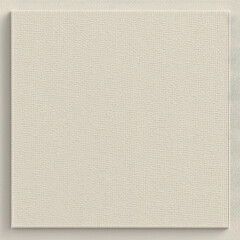 white canvas texture