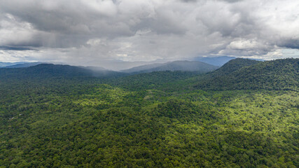 Aerial drone of rainforests on the island of Borneo. Jungle in the tropics. Malaysia.