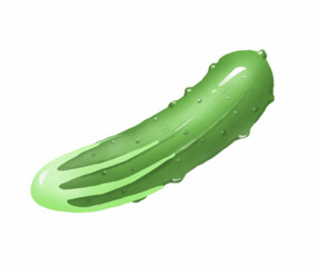 Cucumber. Vegetable. Digital illustration
