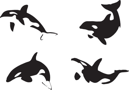 silhouette of orca set. negative space. only black. isolated images. eps 10
