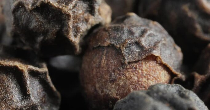 Peppercorns or black pepper spice. Super Macro Close Up.