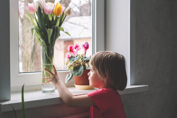 Baby girl stands at the window and looks at a bouquet of tulips in a vase. Hand holding a vase