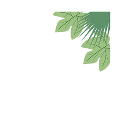 Corner Tropical Leaf
