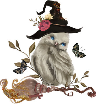 Witchcraft illustration of magical wise owl in witch hat