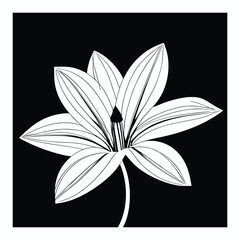 Lily flowers coloring books Make Line art, hand-drawn illustrations.Perfect for creating coloring pages, coloring books, enchanting holiday invitations, and other creative projects.