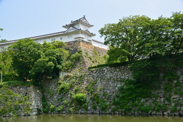 姫路城　新緑の映えるワの櫓と石垣