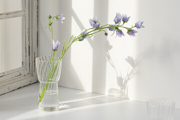 vase of flower in front of window.