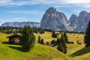Landscape with traditional wooden huts on Alpe di Siusi (Seiser Alm) with Sassolungo (Langkofel) in the background. Breathtaking scenic panoramic view of vibrant green rolling hills. Dolomites