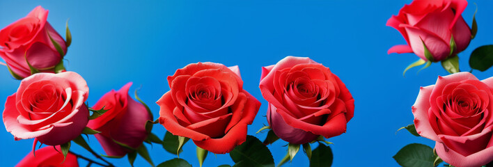 Illustration of a bouquet of red roses against a blue background created with Generative AI technology