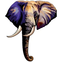 Fotobehang Draw African Elephant Portrait Vector Illustration isolated on white