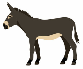 Gray donkey vector cartoon illustration isolated on white