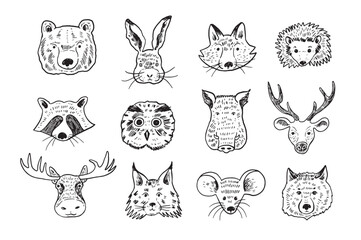 Fototapeta premium Forest animals face vector line illustrations set.
