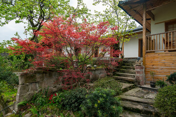 Japanese style architecture and landscape architecture