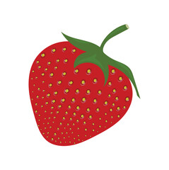 strawberry vector art and illustrator