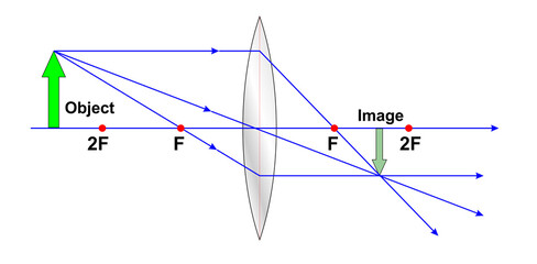 Convex Lens - obrazy, fototapety, plakaty