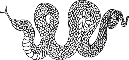 Red snake vector.Lampropeltis triangulum vector.Sticker and hand drawn snake for tattoo.Red snake Reptile on white background.