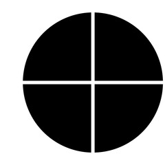 wheel icon