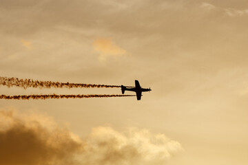 Ephemeral Whispers A Solitary Sojourn Through Twilight's Embrace