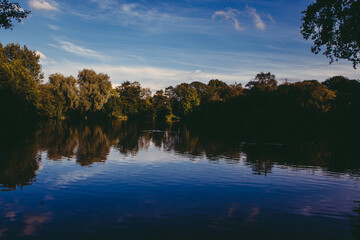 reflection of trees in water