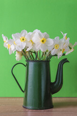 Bouquet of white daffodils in vintage green coffee pot on green background; vertical picture