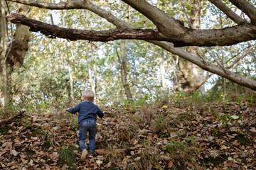 Naklejka na ściany i meble Little boy climbing and running up hill in the woods