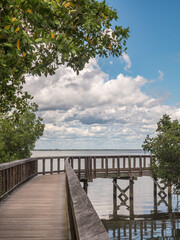 Fototapeta na wymiar Scenic boardwalk curves between mangrove forest and shallows of Tampa Bay near a waterfront park in Safety Harbor, Florida, for motifs of nature, tourism, ecotourism