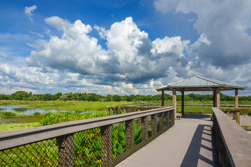 Observation platform at end of boardwalk over marshland with a creek in a nature preserve and flood...