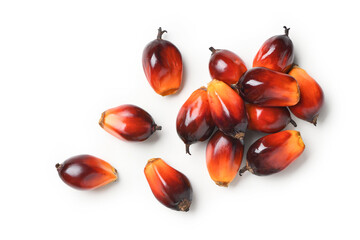 Top view of palm oil nuts isolate on white background. Clipping path.