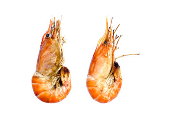 Grilled shrimps isolated on white background. Concept, Seafood. Delicious, favorite menu for party or outdoor barbeque or picnic. Healthy food.          