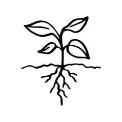 Seeding in doodle style isolated on white